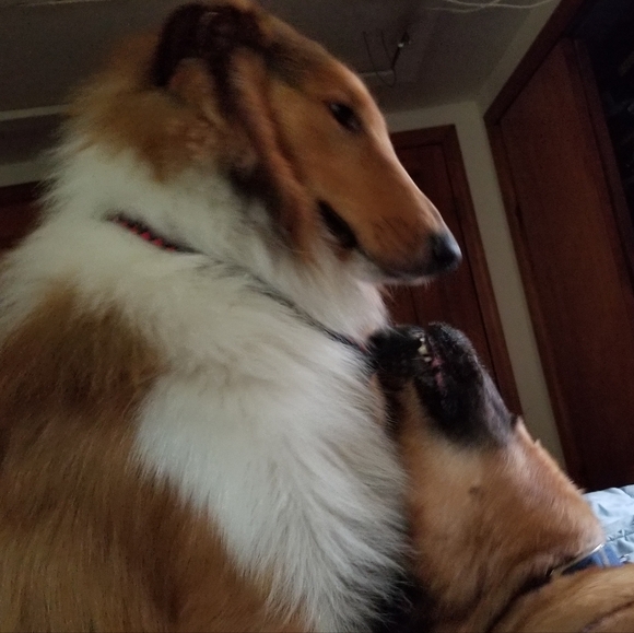 PLSreadBEFOREbuying! - Picture 3 of 16